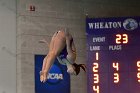 Women's Diving  Wheaton College Women’s Diving vs Mount Holyoke College. - Photo by Keith Nordstrom : Wheaton, Swimming & Diving